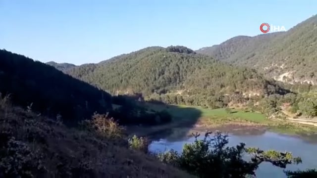 Bolu’daki orman yangınına havadan müdahale yeniden başladı