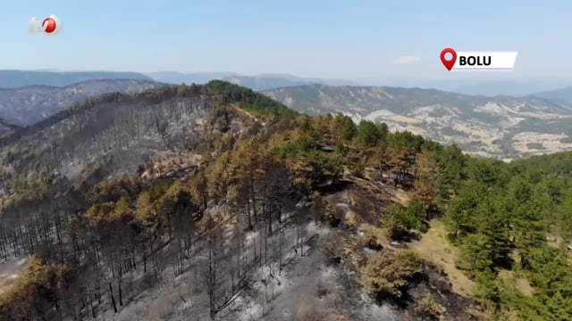 Bir Yanda Yeşil, Diğer Yanda Kül