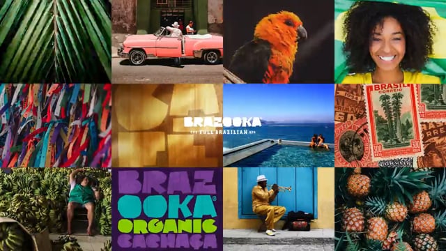 Project video preview