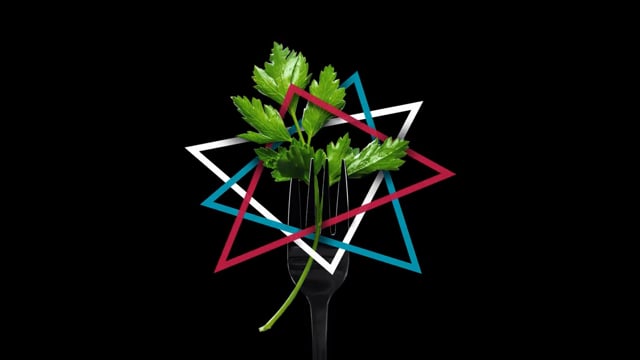 Project video preview