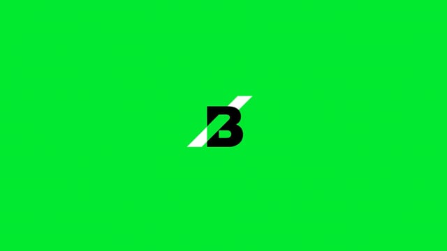 Project video preview