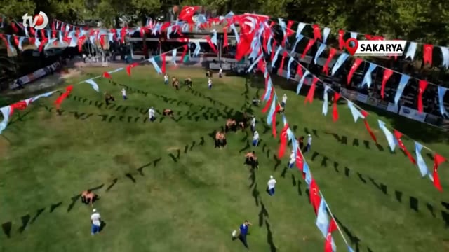 Akbalık Yağlı Güreşleri’nde 600 Pehlivan Ter Döküyor