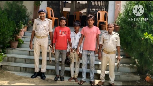 पुलिस ने दाब गांव के समीप से 250 लीटर महुआ शराब के साथ दो बाइक को किया जप्त तीन धंधे बाज गिरफ्तार