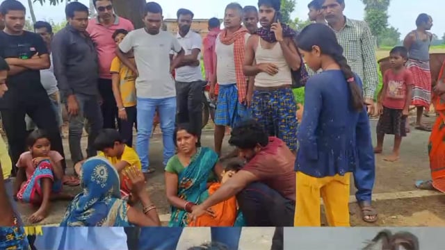 जहरीले सांप के काटने से एक पांच वर्षीय बच्ची की मौंत 