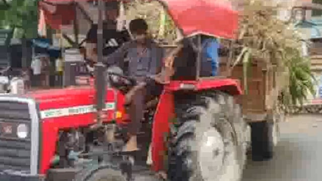 नौहझील के गांव हसनपुर में जन्माष्टमी के अवसर पर गौशाला में गौ माता को चारा खिलाया गया