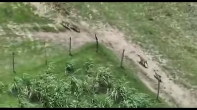 Bahraich 1 जनपद बहराइच से बड़ी खबर निकलकर सामने आ रहे हैं जहां 45 दिनों मेतकरीबन आठ लोगों की मौत हो चुकी