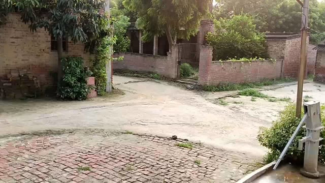 आलापुर तहसील क्षेत्र के चहोड़ा शाहपुर में स्थित इस विद्यालय के प्रबंधक नहीं मानते जिलाधिकारी के आदेश,,,,,,