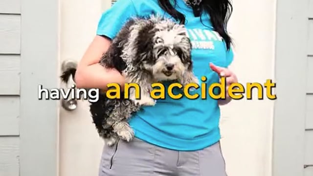 Struggling with Potty Training?