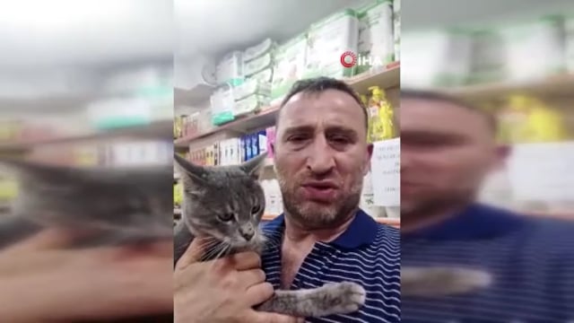 Balı fazla kaçıran kedi kendinden geçti