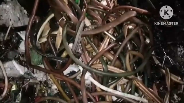 प्लास्टिक के गोदाम में लगी भीषण आग