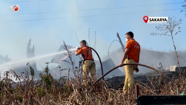 Yangın Ahırda Başladı, Ormanlık Alana Sıçradı