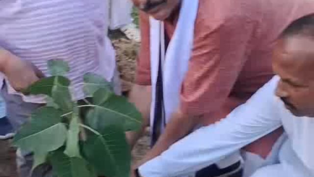 सत्यानंद हॉस्पिटल अजीजगंज के द्वारा मद्नापुर के ब्लॉक प्रमुख श्री महेश पाल की उपस्थिति में किया गया वृक्षारोपण बताया गया