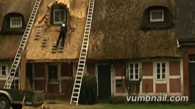 Reet-Impressionen – Zusammenschnitt