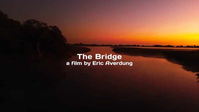 The Bridge — Okavango Delta