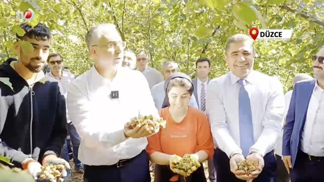 Bakan Işıkhan, İşçilerle Birlikte Fındık Topladı