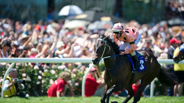 Calling greatness: Greg Miles reflects on Black Caviar