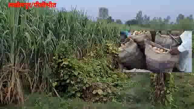 शोषण से अन्नदाता परेशान, माल काट रहे इस देश के महान 