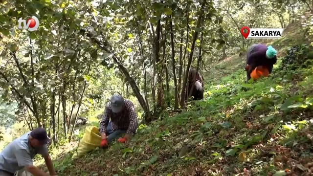 Bin Liranın Üzerinde Yevmiye Veriyor Ama Çalıştıracak İşçi Bulamıyor