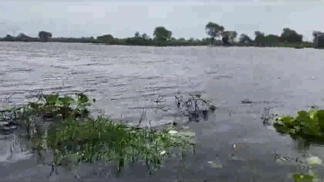 माट की जावरा पंचायत का चंदरवन गांव पोखर ओवरफ्लो होने के चलते बना ताल तलैया जनजीवन हुआ अस्त-व्यस्त