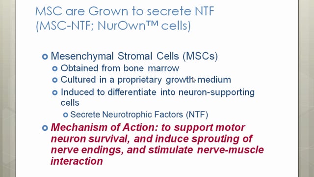 ALSA/NEALS PALS Webinar: Stem Cells Screen Grab