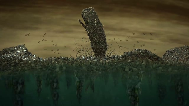 Surfrider - Rise Above Plastics