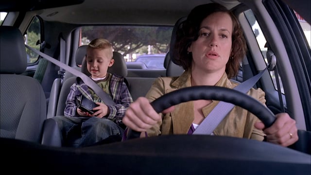Frosted Mini-Wheats - Carpool
