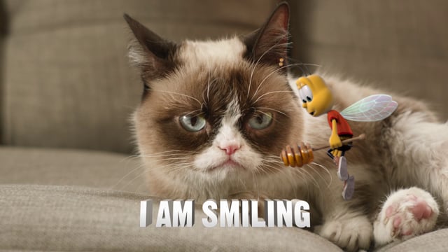 Honey Nut Cheerios - Grumpy Cat