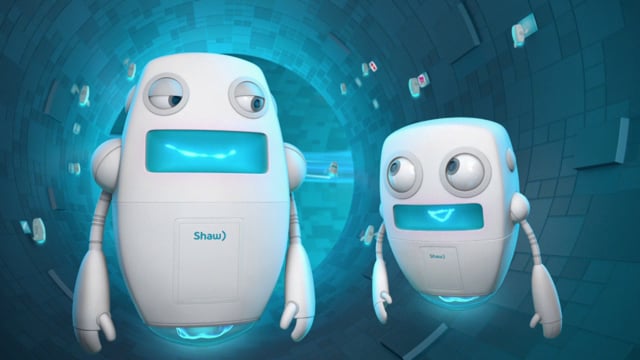 Shaw - Bit Is Born