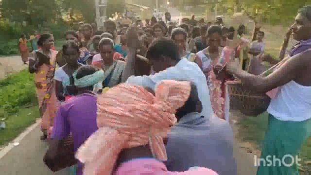 बेलहर के बसमाता चिंगुलिया गांव में धूम धाम से मनाया कर्मा पर्व,लोक सांस्कृतिक विधि विधान से जश्न