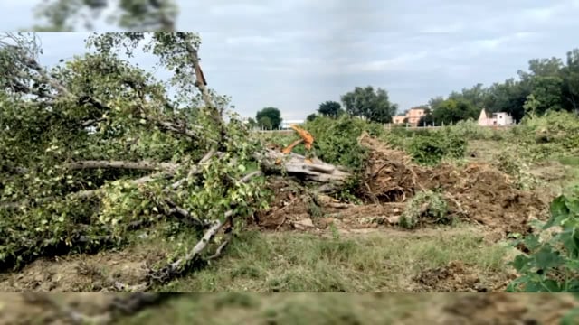 वृंदावन छटीकरा रोड पर हरे पेड़ कटान मामले में मुख्य आरोपी को पुलिस ने हिरासत में लिया