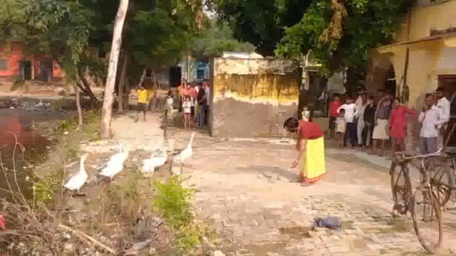 फरह क्षेत्र के ग्राम बाकलपुर में चार दबंग बाल्मीकियों ने राधा कृष्ण मंदिर के पुजारी के साथ की मारपीट