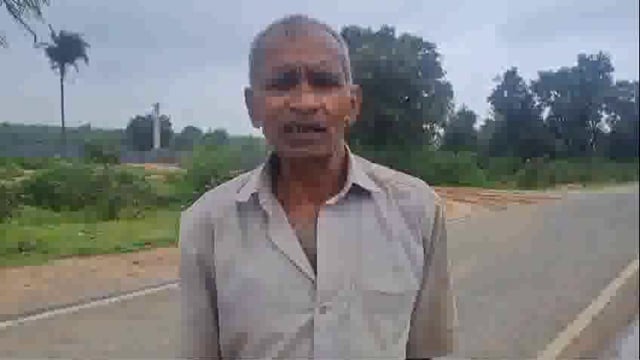 वन में लगे पेड़ की असमाजिक लोगों के द्वारा कटाई 