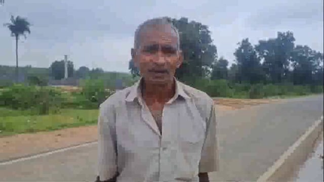 वन में लगे पेड़ की असमाजिक लोगों के द्वारा कटाई 