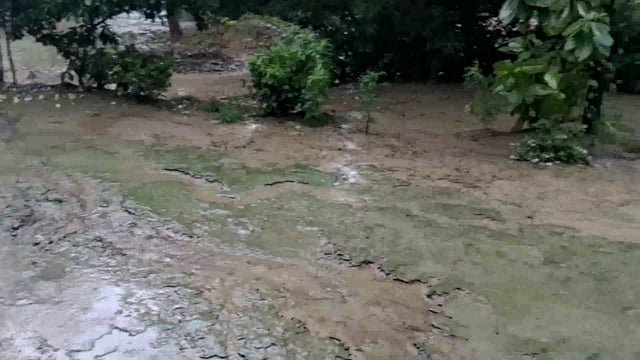 जिले में हो रही 36 घंटे से लगातार बारिश से जनजीवन अस्त-व्यस्त जगह-जगह पेड़ गिरे और बिजली भी गुल