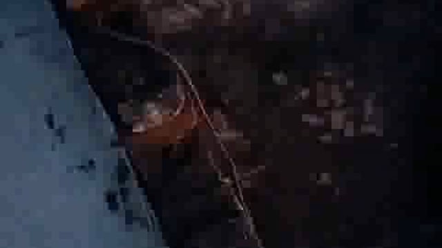 दबंगों ने घर में घुसकर आज फिर की चढ़ाई हाथ में लोहे की रॉड लेकर हथियारों से लैस होकर जान से मारने की दी धमकी थाना रोजा 