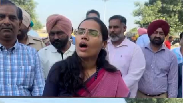 DEPUTY COMISSIONER PATIALA GRAIN MARKET RAJPURA INSPECTION 