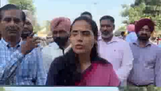 DEPUTY COMISSIONER PATIALA GRAIN MARKET RAJPURA INSPECTION 