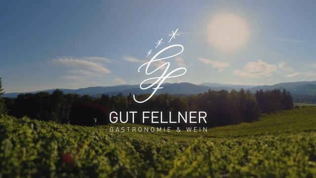 GUT FELLNER