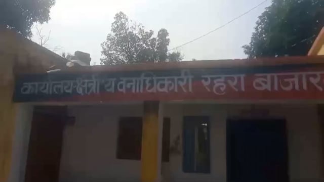 बलरामपुर रेहरा वन क्षेत्राधिकारी ने चोरी के 15बोटा साखू व पिकअप को पकड़कर किया सीज चार के विरुद्ध केस दर्ज ।