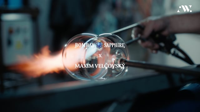 Náhled pro video reference