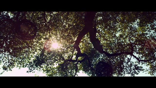 The One I Love - Official Trailer