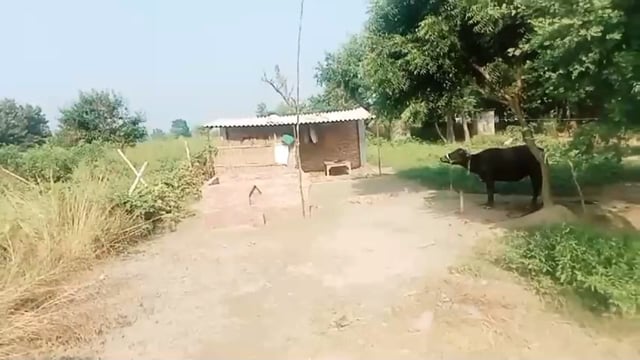 नया ताजिया चौक बनाने पर डीएम और एसपी से शिकायत, पुलिस ने अस्थाई रूप से रोका नवनिर्माण।