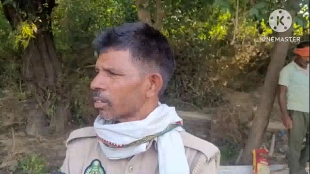 वृंदावन में वनों को उजाड़ने का सिलसिला जारी..