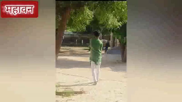 महावन राष्ट्रीय पक्षी मोर बना बंदरों के आतंक का शिकार तहसील में छत से गिरकर हुई मौत समाजसेवियों ने किया अन्तिम संस्कार 