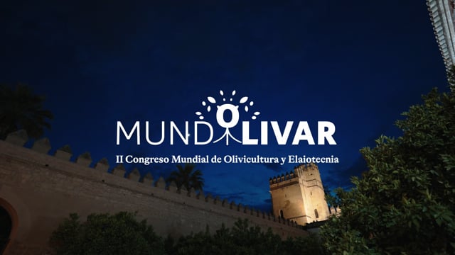 Mundo Olivar II