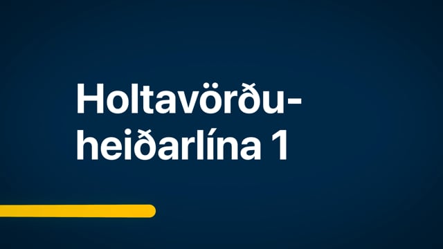 mynd sem tengist Holtavörðuheiðarlína 1
