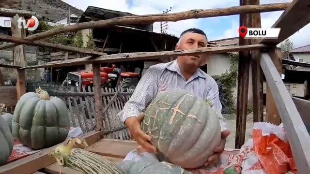 Hayvan Gübresiyle Yetiştirilen Bal Kabağı 40 Kilogram Oldu