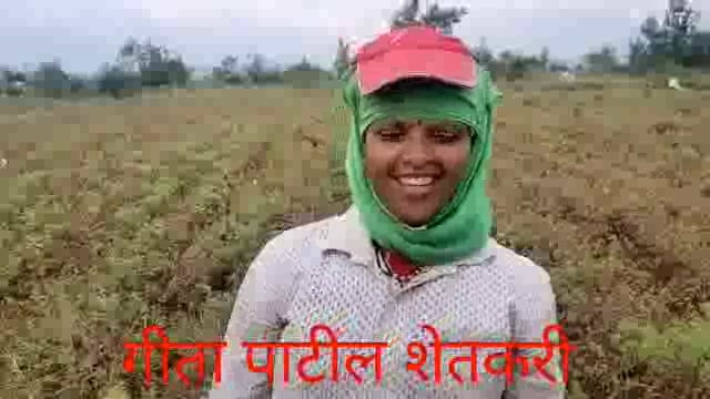 कोल्हापूर मध्ये पाऊस अवेळी पडत असलेने हातातोंडाशी आलेली सोयाबीन बळीराजा पिके काढण्याच्या गडबडीत शेतकरी महिला गीत गात करतात कष्टावर मात.