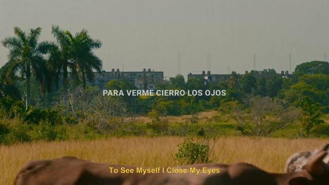 PARA VERME CIERRO LOS OJOS - Tráiler 2024