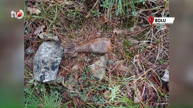 Ormanda Küflenmiş ve Patlamamış Halde Havan Topu Mermisi Bulundu